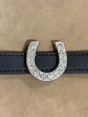 Crystal Horseshoe Accent Bracelet